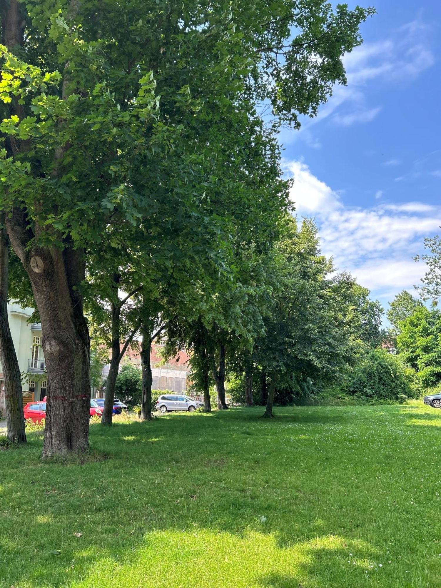 Mintara Komfort Apartment Mit Grill -Terrasse, Sky Und Parkplatz Magdeburg Dış mekan fotoğraf